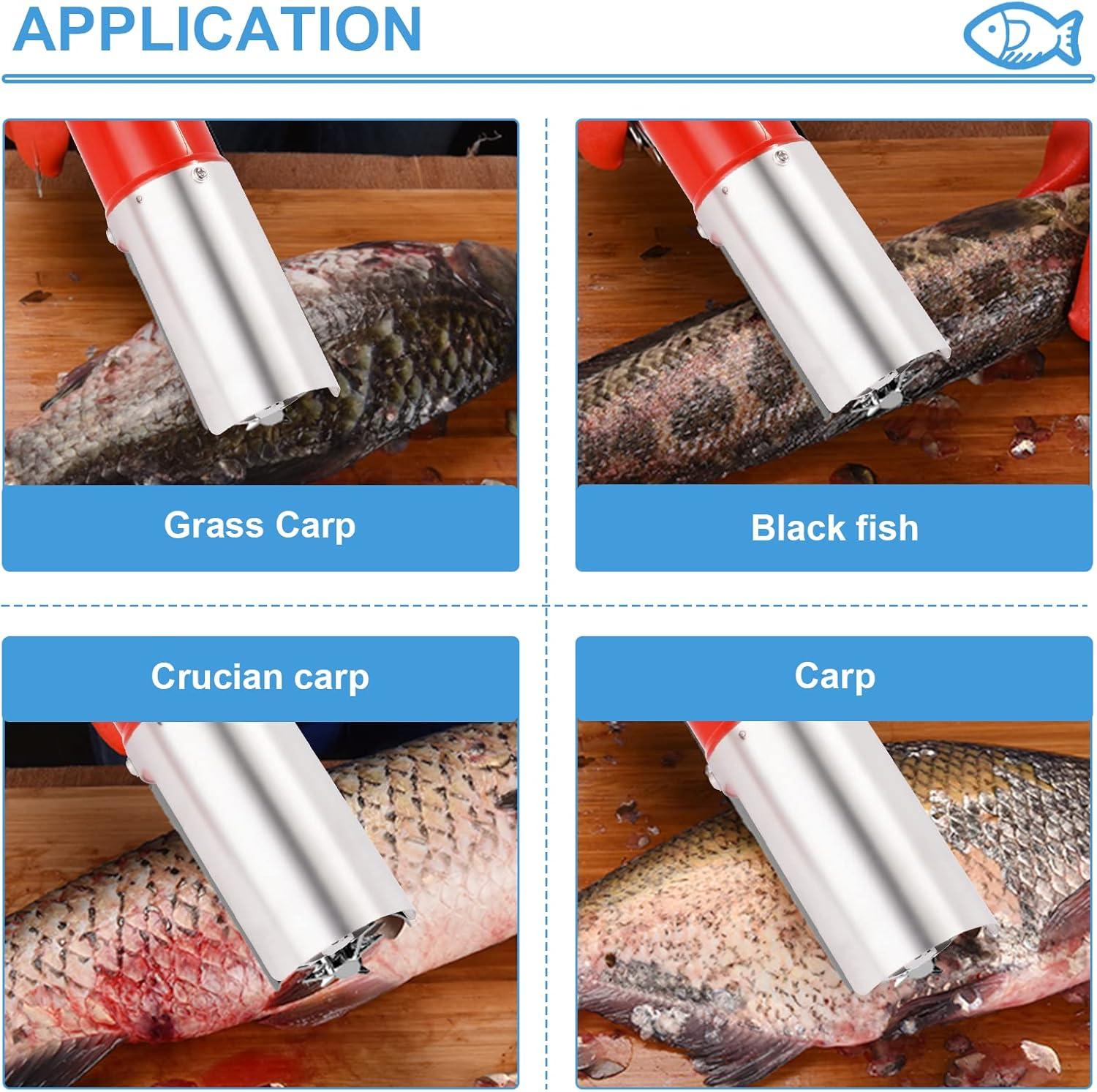 We Put MXBAOHENG's Cordless Fish Scaler to the Test