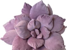 Honest Review of Cactus Pillow – Comfort, Quality & Value Explained