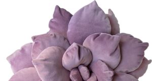 Honest Review of Cactus Pillow – Comfort, Quality & Value Explained