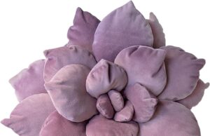 Honest Review of Cactus Pillow – Comfort, Quality & Value Explained